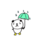 パンダのあいさつスタンプ（個別スタンプ：5）