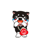 和み柴っこ（個別スタンプ：3）