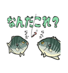 ブラックバス＆ブルーギル（個別スタンプ：29）