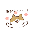 つぶやきねこ2（個別スタンプ：28）