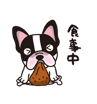 わんこdeスタンプ〜フレブル編（個別スタンプ：3）