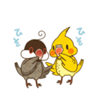 文鳥と時々インコ（個別スタンプ：2）