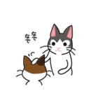 さんにゃんず パート2（個別スタンプ：4）