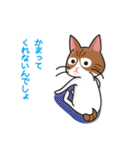 さんにゃんず パート2（個別スタンプ：10）