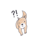 柴犬のチョコちゃん（個別スタンプ：12）