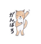 柴犬のチョコちゃん（個別スタンプ：23）