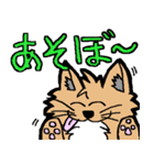チワワのチー君（個別スタンプ：23）
