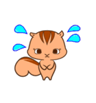 greeting squirrel（個別スタンプ：14）