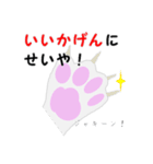 日常使い かわいい白ネコ（個別スタンプ：37）
