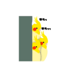 ほんわかオカメインコ（個別スタンプ：5）