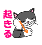 わんにゃん手話講座（個別スタンプ：23）
