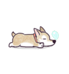 色鉛筆の動物スタンプ（個別スタンプ：16）