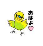 インコで挨拶（個別スタンプ：14）