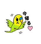 インコで挨拶（個別スタンプ：40）