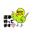続・インコで挨拶（個別スタンプ：1）