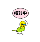 続・インコで挨拶（個別スタンプ：19）