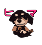ダックしゅⅢ（クロたん）（個別スタンプ：22）