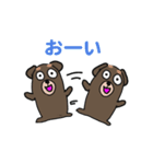 ダックスフンドのダックスくん（個別スタンプ：13）