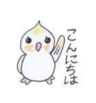 おしゃべり上手なオカメインコちゃん（個別スタンプ：1）