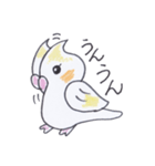おしゃべり上手なオカメインコちゃん（個別スタンプ：14）