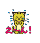 にらみネコ（個別スタンプ：16）