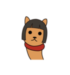 ズラ犬（個別スタンプ：38）