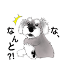 おふうさんとしろ。（個別スタンプ：7）