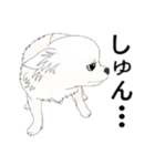 おふうさんとしろ。（個別スタンプ：11）