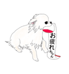 おふうさんとしろ。（個別スタンプ：20）