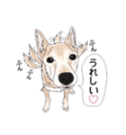 おふうさんとしろ。（個別スタンプ：25）