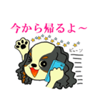 キャバリアばっかりのスタンプ（個別スタンプ：30）