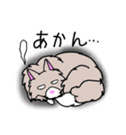 ノルくんとメインくん（個別スタンプ：33）