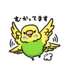 インコ臭ぇスタンプ（個別スタンプ：11）