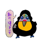 あまのじゃくオオハシ （日本語）（個別スタンプ：34）