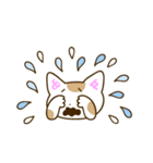ねこといっしょ。改訂版（個別スタンプ：6）