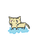 にゃ～ん（個別スタンプ：16）