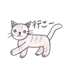 ねこのチャトラちゃん（個別スタンプ：31）