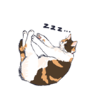 三毛猫と待ち合わせ（個別スタンプ：13）
