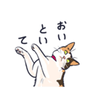 三毛猫と待ち合わせ（個別スタンプ：19）