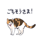 三毛猫と待ち合わせ（個別スタンプ：31）