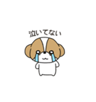 お茶目かわいいシーズースタンプ（個別スタンプ：13）