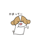 お茶目かわいいシーズースタンプ（個別スタンプ：23）