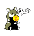 クロハラハムスター（個別スタンプ：21）
