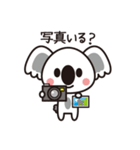 旅コアラ（個別スタンプ：39）