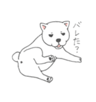 しろ柴犬の子犬（個別スタンプ：15）