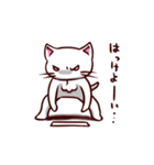 白猫のしゅがー！！＜2＞（個別スタンプ：15）