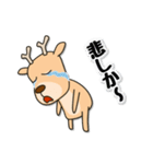 シカ100％ with ウマ（個別スタンプ：26）