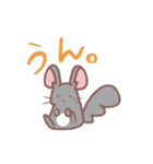 ちょいうざ チンチラ（個別スタンプ：8）