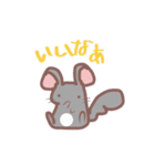 ちょいうざ チンチラ（個別スタンプ：33）