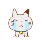 yucopocoのネコにゃ～ご（個別スタンプ：38）
